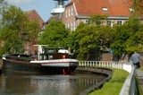 rotesiel